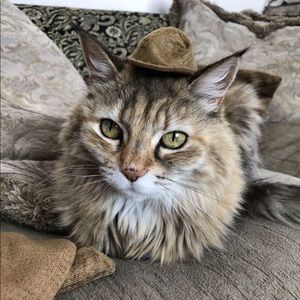 Meet your Posher, Mel